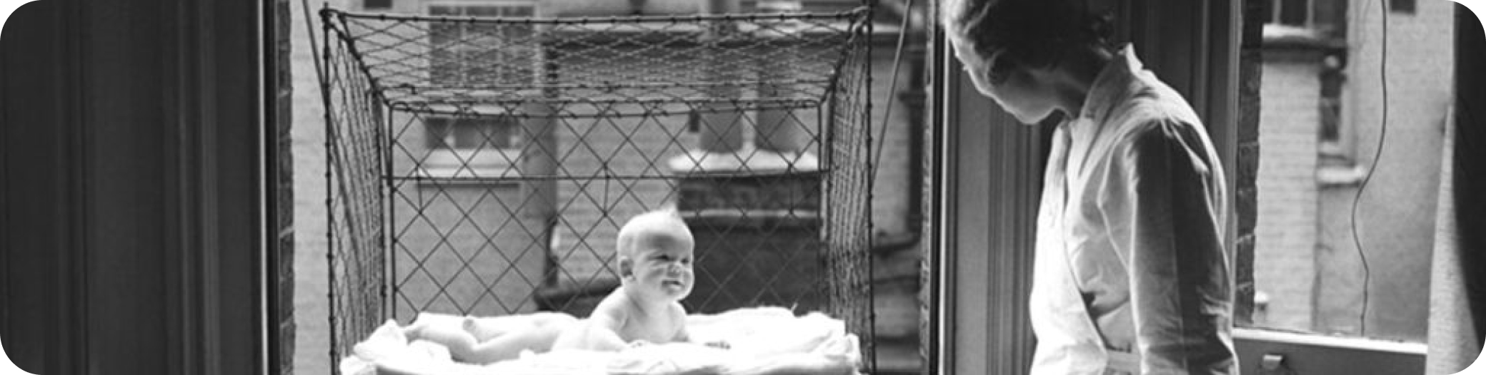 фото детки в клетке